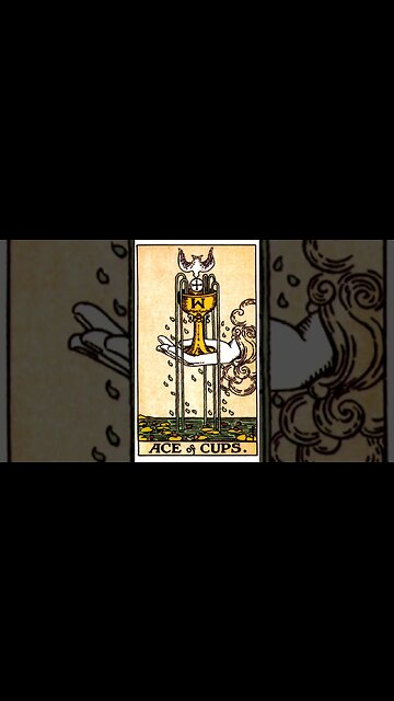 Ace of Cups - Walk Down Tarot Lane #23