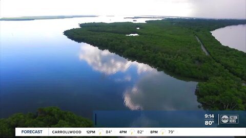 Walking Club: Exploring Emerson Point Preserve