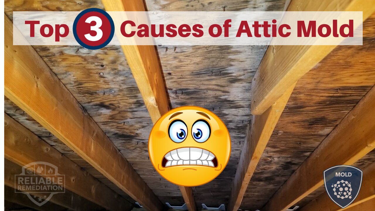 Top Three Causes of Attic Mold