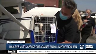 Marley's Mutts speaks out against animal import ban