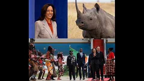 During a visit to Zambia, US Vice President Kamala Harris shot and killed a rare black rhino.