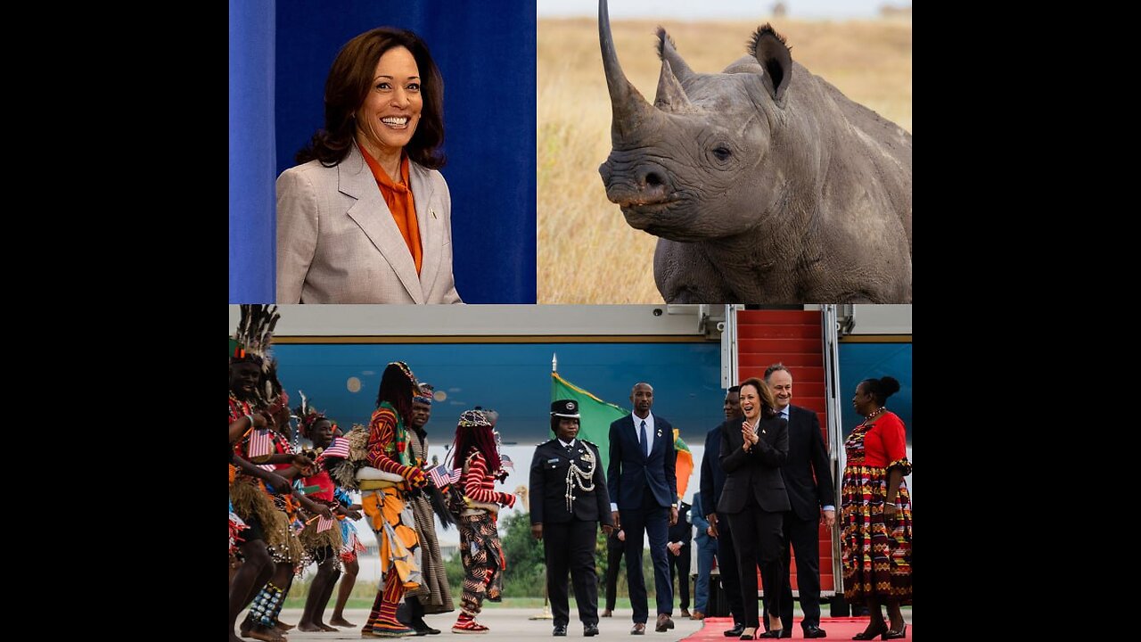 During a visit to Zambia, US Vice President Kamala Harris shot and killed a rare black rhino.