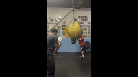 Boxing at El Maestro