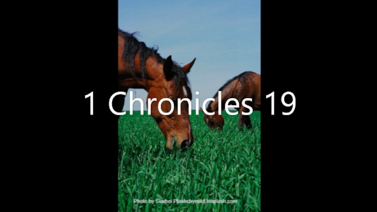 1 Chronicles 19 | KJV | Click Links In Video Details To Proceed to The Next Chapter/Book