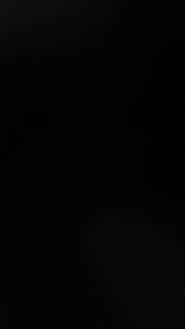 How to pronounce Mandelbrot fractal