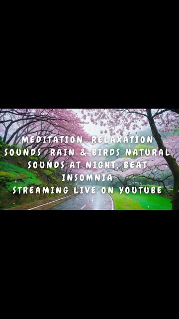 LIVE ON YOUTUBE, Rain & Birds Sound, Relaxation Natural Sounds, Meditation Sounds, Sleep Better