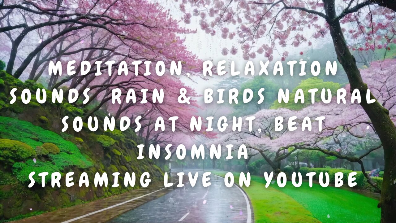 LIVE ON YOUTUBE, Rain & Birds Sound, Relaxation Natural Sounds, Meditation Sounds, Sleep Better