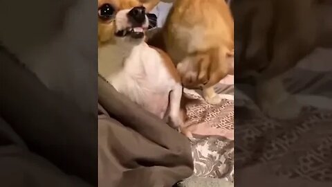 в бухгалтерию зашёл за ранним авансом.