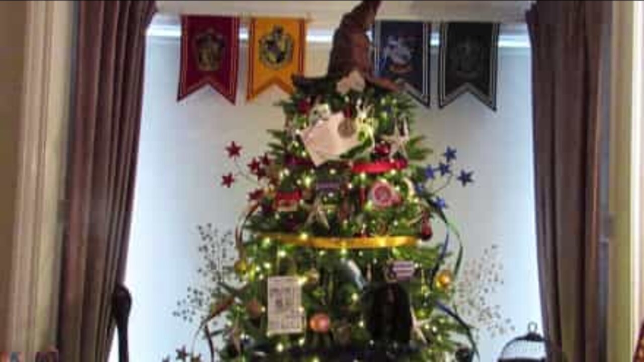 If you're a fan of Harry Potter this Christmas tree is for you!