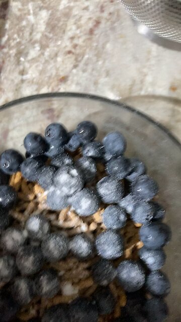 Fiber one cereal with blueberries and stevia