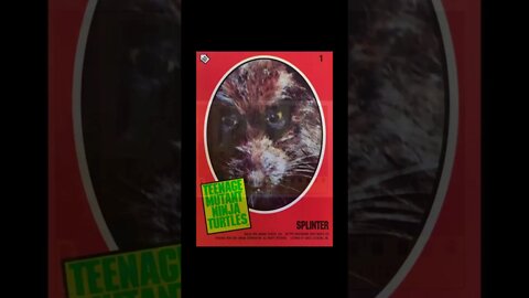 Ninja Turtles!!!