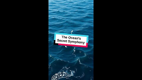 The ocean secret