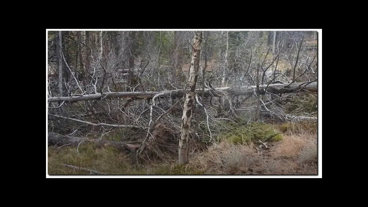 Colorado's New Reality