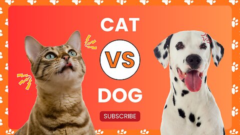 New Funny Animals 🤣 Funniest Cats and Dogs 2023