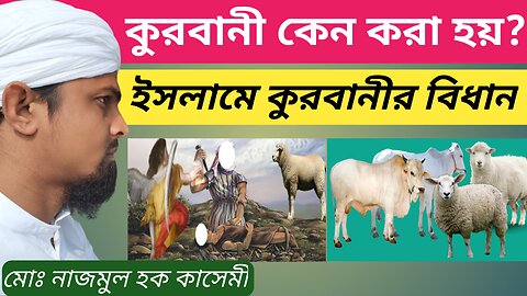 কুরবানী কেন করা হয়? ইসলামের দৃষ্টিতে কুরবানীর বিধান