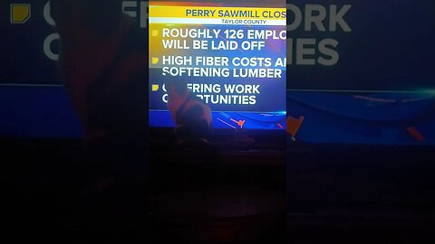 Taylor County Saw Mill Closing Moomoo the cat Watching Tv