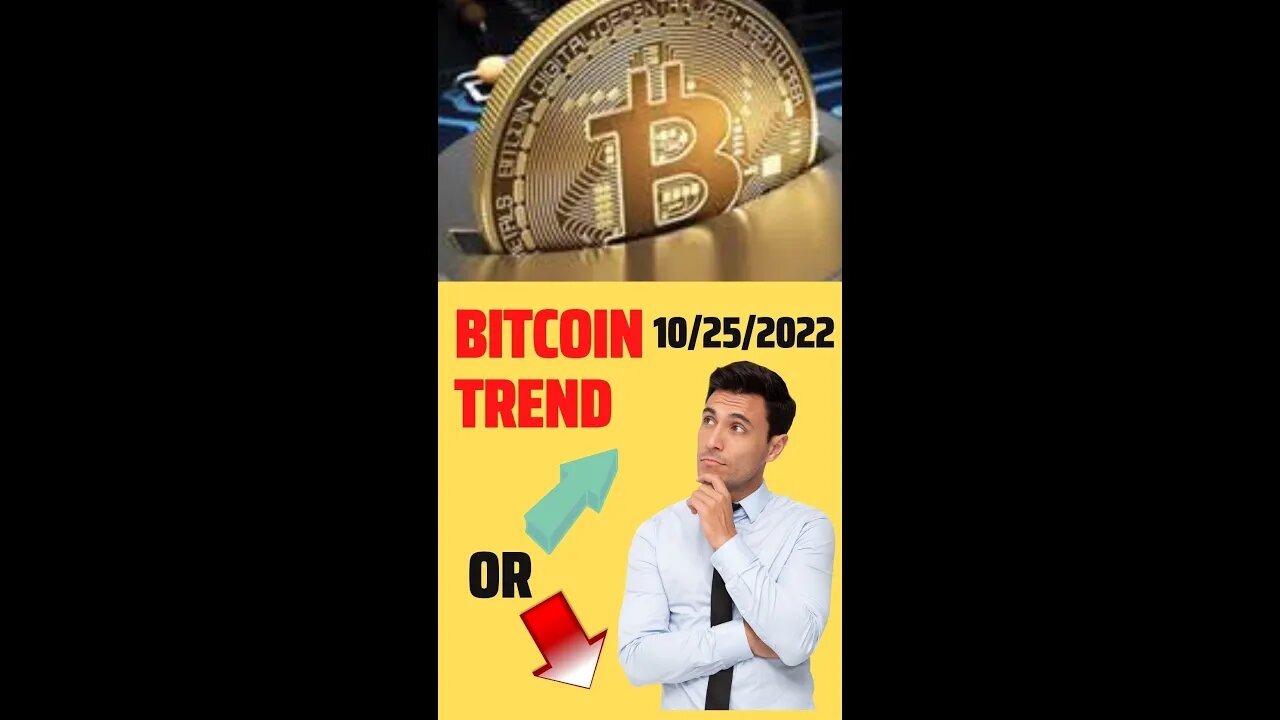 Trend based on the turnover of bitcoin whales 1K largest cryptocurrency wallets 10/25/2022 btc live