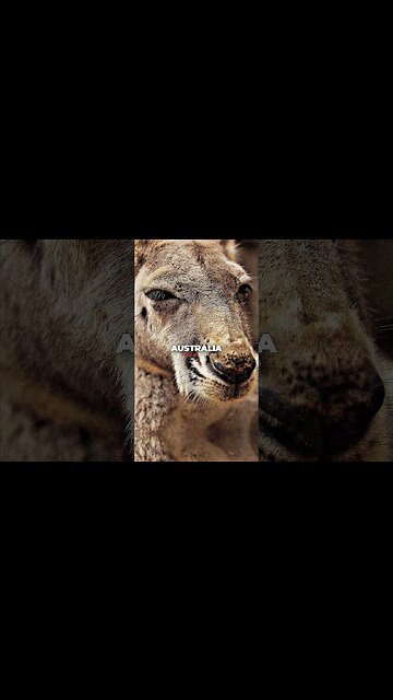 Eastern women vs Western women 🤯