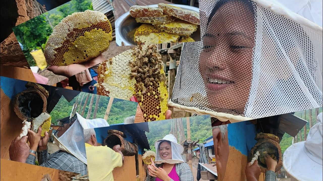 ल है फेरि पनि आयो बिर्खे माहुरीको मह अर्गानिक😱धेरै थरिका हुन्छन है माहुरी पनि#vlog