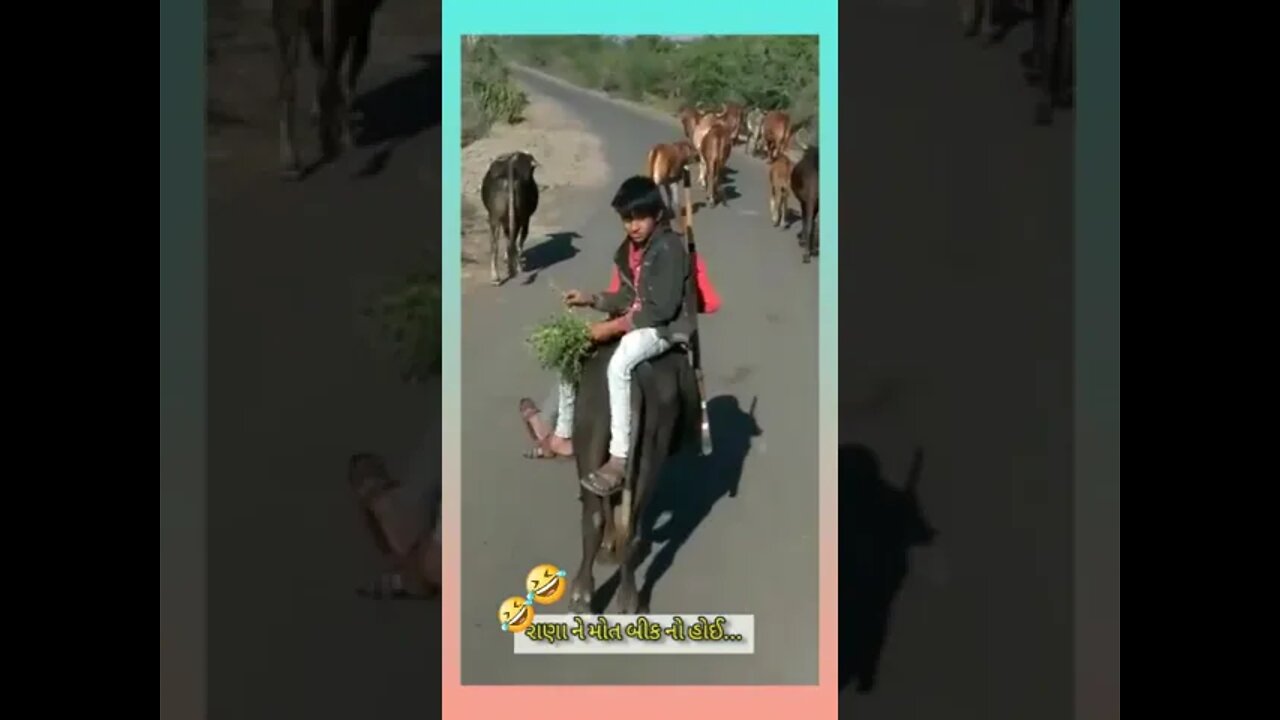 રાણા ને મોત ની બીક નો હોય #shorts #shortvideo