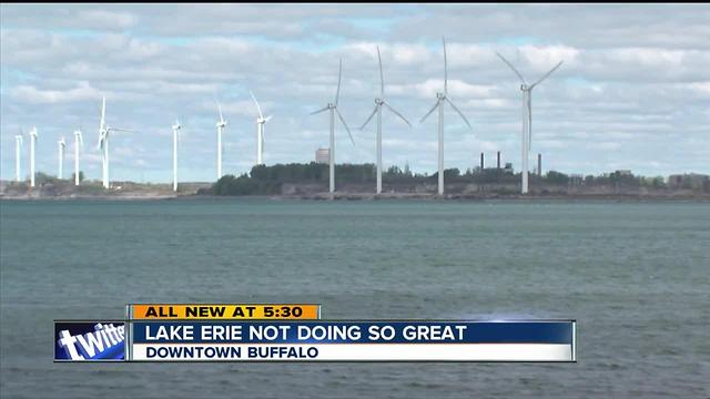 Lake Erie is not doing so great