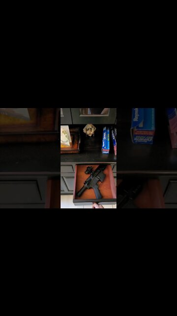 Where's Shorty? @Safety Harbor Firearms