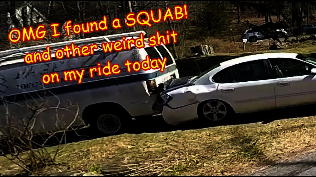 [E19] OMG I saw a SQUAB on the Hawk 250!. then get lost on some back roads dualsport enduro