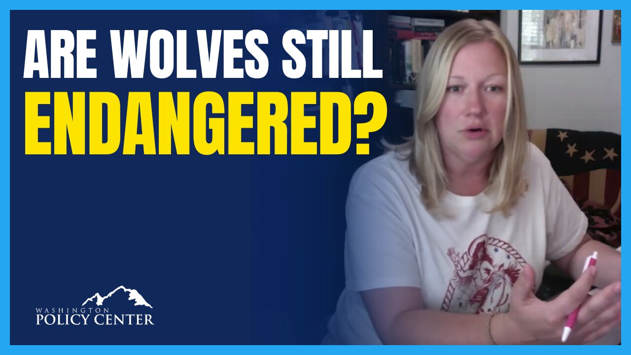 Gray Wolves Should Be Downlisted | Pam Lewison