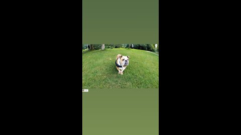 Mason is just being lazy