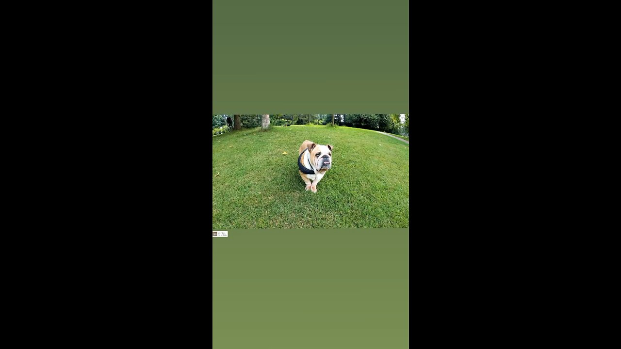 Mason is just being lazy
