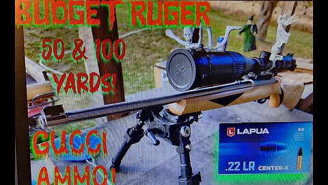 Budget Ruger 10/22 Gucci Ammo Lapua Center X