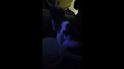 She Loves Eating His Tail