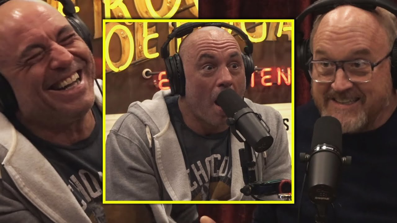 Joe Rogan: Louis CK 'Well someone has to love her...'