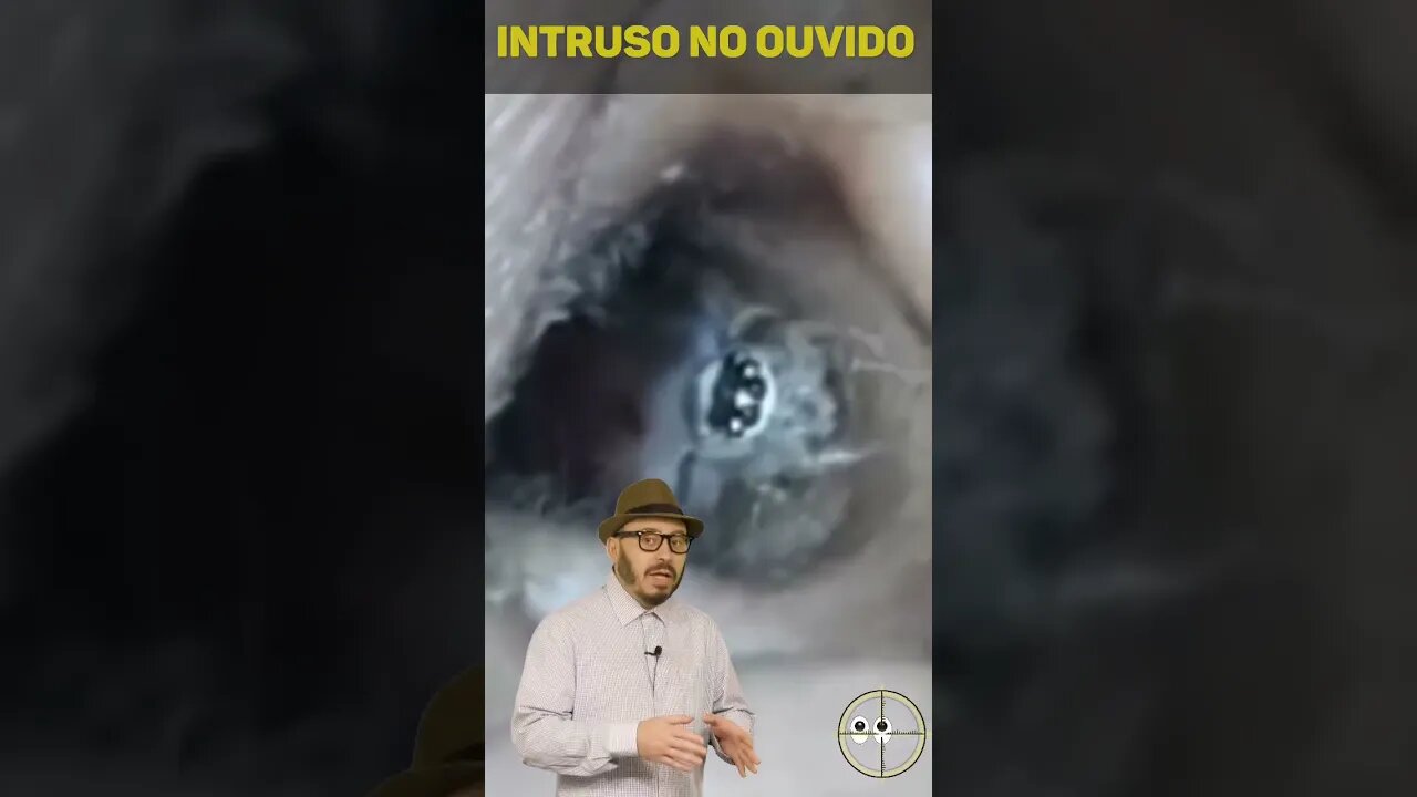 Mulher corre para o hospital com fortes dores no ouvido e descobre um animal vivendo lá dentro