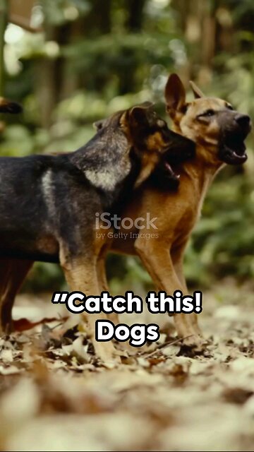 Paws & Wonders: Woof-tastic Dog Facts You Didn't Know! 🐾✨ |