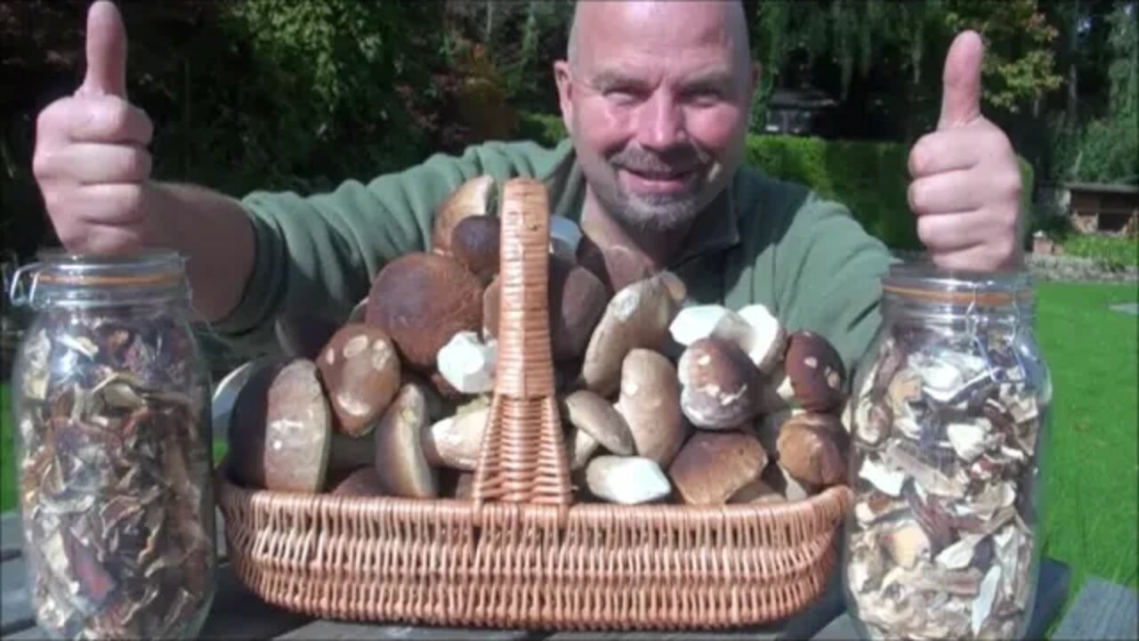 Drying Porcini Mushrooms in the Food Dehydrator