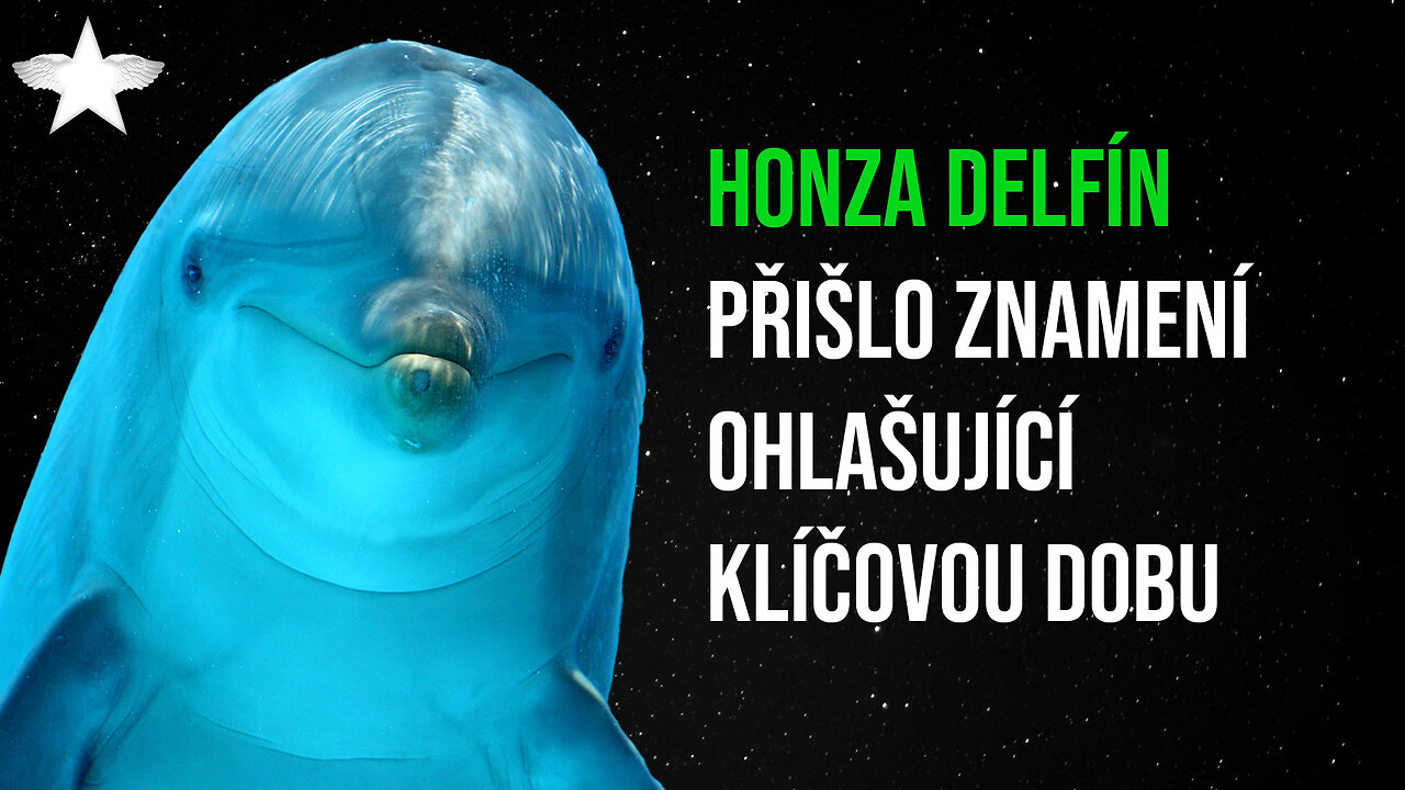 Honza Delfín: Přišlo znamení ohlašující klíčovou dobu