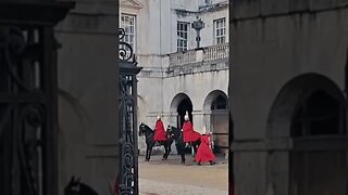 Dancing horse #horseguardsparade