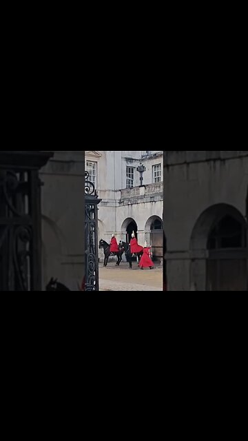 Dancing horse #horseguardsparade