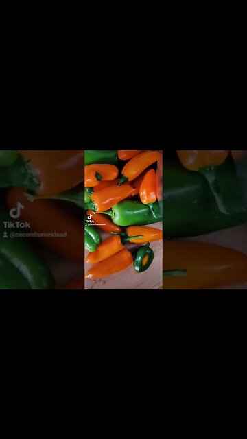 Love Peppers and Eggs