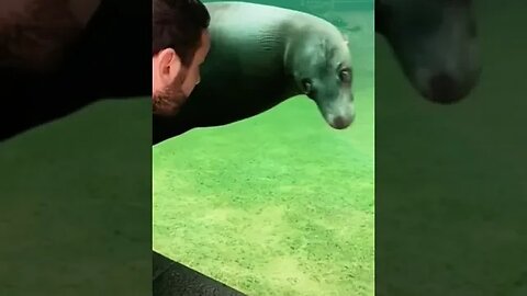 The end😂😂 best animals Ever