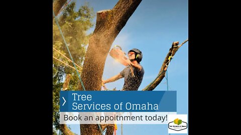 Tree Services of Omaha