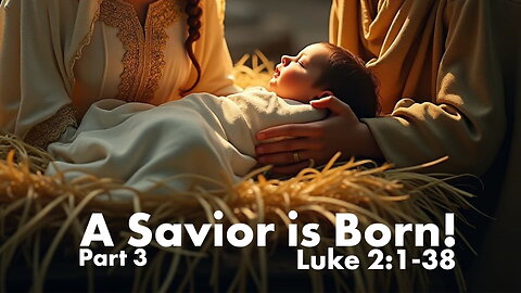 A Savior is Born! - Part 3 - Luke 2:1-38