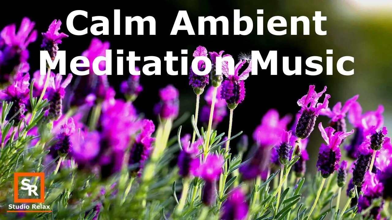 Meditation Relax #6 Calm Ambient Flower Meditation Music Sounds