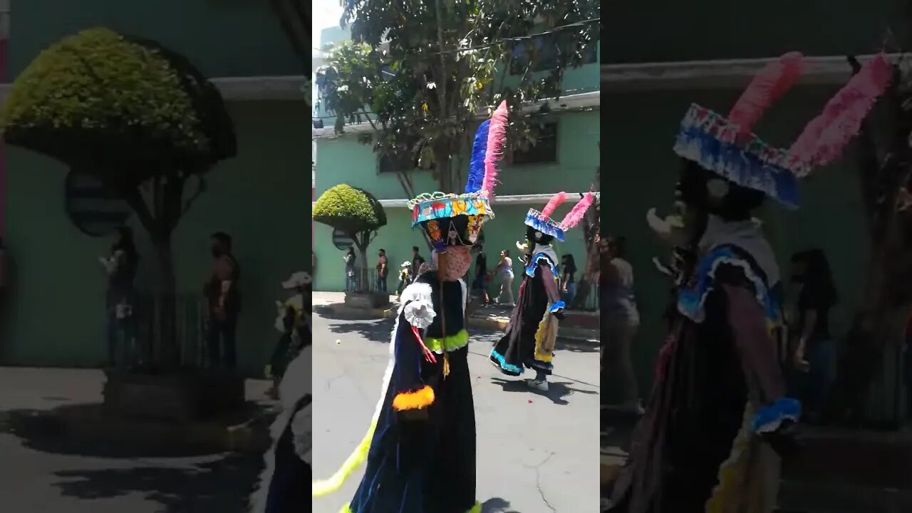 Procesión del Señor de las llagas. Iztacalco.