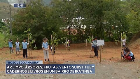 "Bosque do Amanhã": Árvores, Frutas, Vento Substituem Cadernos e Livros em um Bairro de Ipatinga.