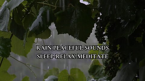 Rain Peaceful Sounds, 2 hours of Heavy rain to help with Sleep, Relaxation and Meditation