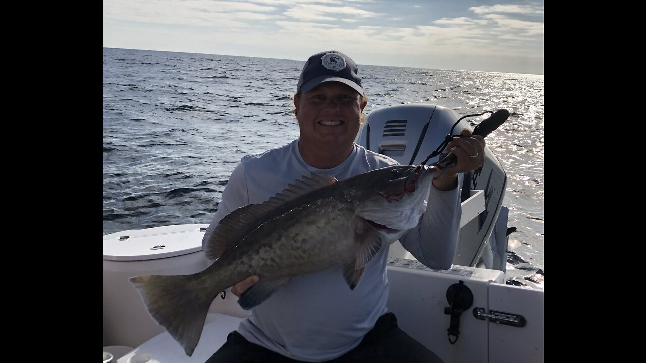 18lb Gag Grouper