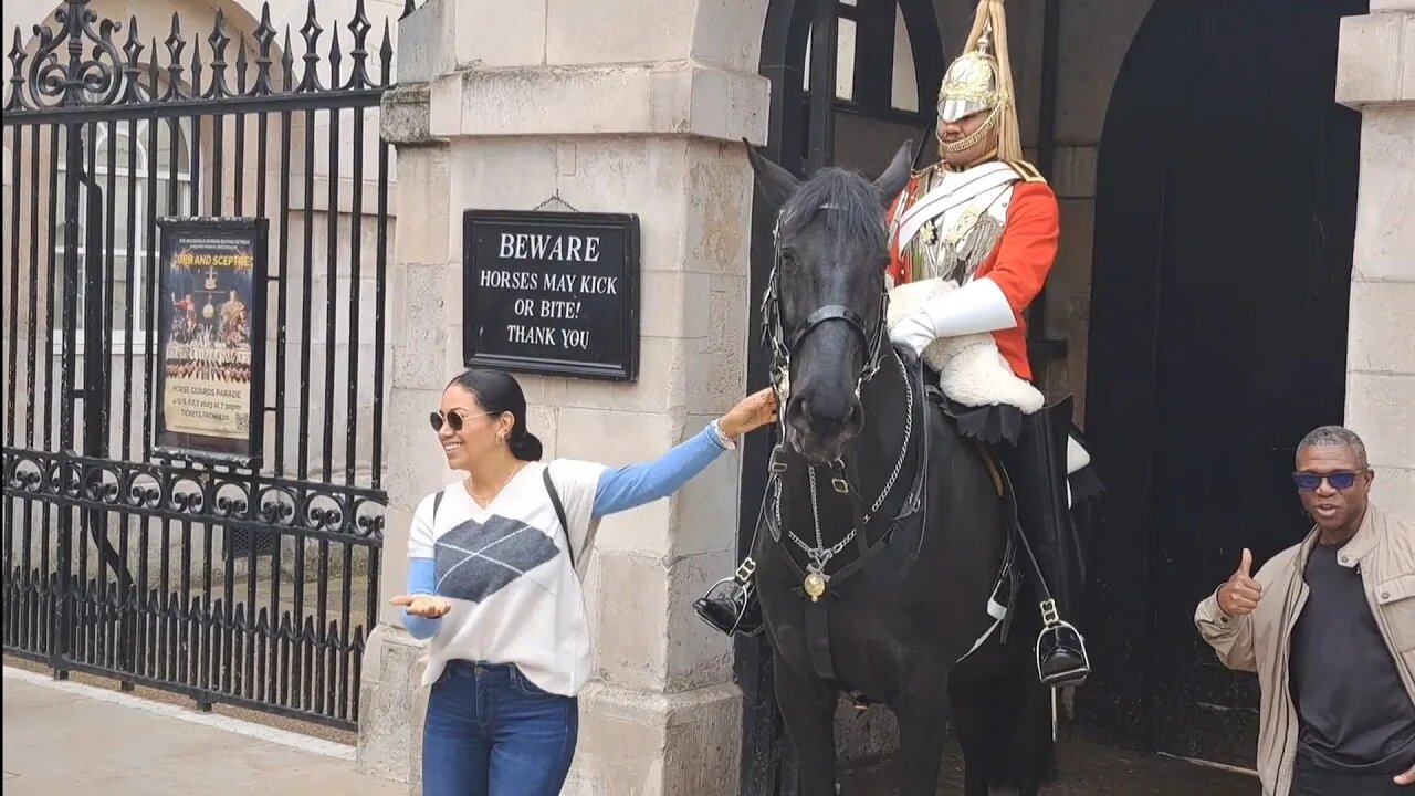Tourist got away with holding the bit #horseguardsparade
