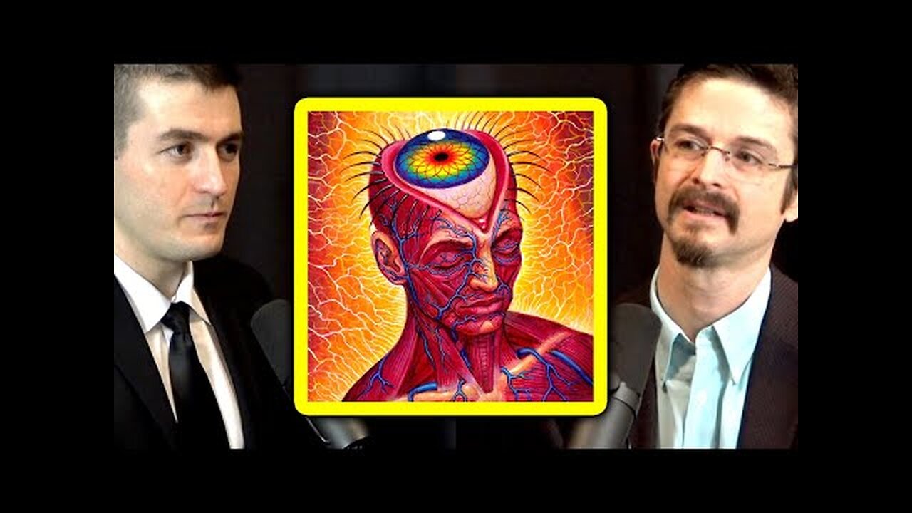 What is a DMT trip like and who are the entities you meet? | Matthew Johnson and Lex Fridman